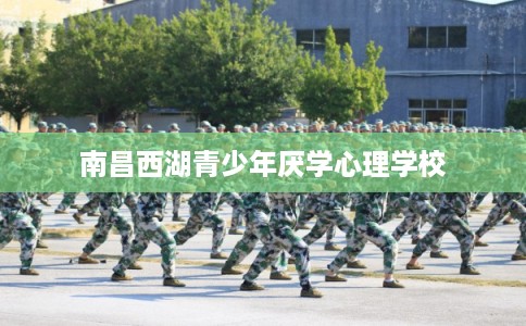 南昌西湖青少年厌学心理学校