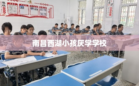 南昌西湖小孩厌学学校