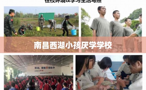 南昌西湖小孩厌学学校