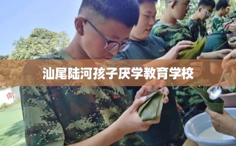 汕尾陆河孩子厌学教育学校 汕尾陆河孩子厌学教育学校