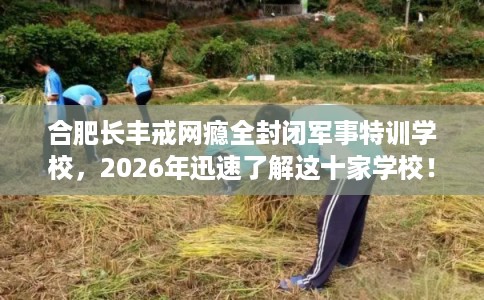 合肥长丰戒网瘾全封闭军事特训学校，2026年迅速了解这十家学校！