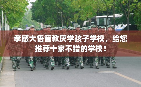 孝感大悟管教厌学孩子学校，给您推荐十家不错的学校！