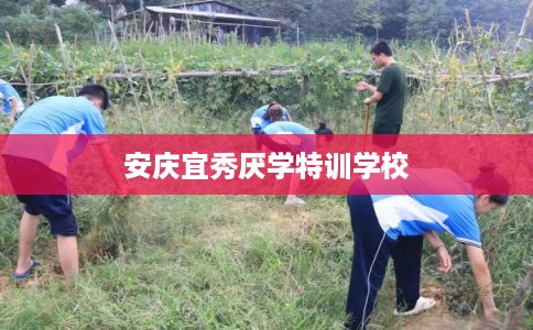 安庆宜秀厌学特训学校 安庆宜秀厌学特训学校