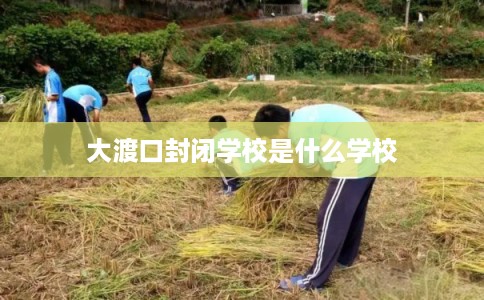 大渡口封闭学校是什么学校