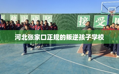 河北张家口正规的叛逆孩子学校