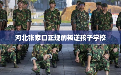 河北张家口正规的叛逆孩子学校