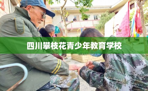 四川攀枝花青少年教育学校 四川攀枝花青少年教育学校
