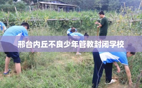 邢台内丘不良少年管教封闭学校