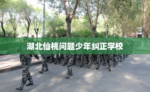 湖北仙桃问题少年纠正学校