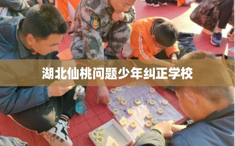湖北仙桃问题少年纠正学校