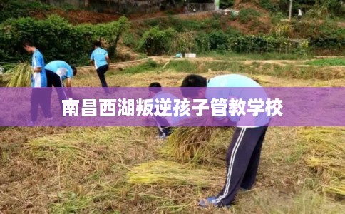 南昌西湖叛逆孩子管教学校 南昌西湖叛逆孩子管教学校