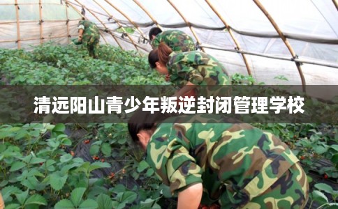 清远阳山青少年叛逆封闭管理学校