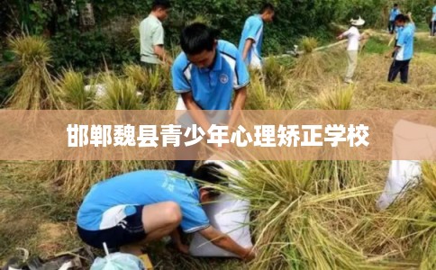 邯郸魏县青少年心理矫正学校 邯郸魏县青少年心理矫正学校