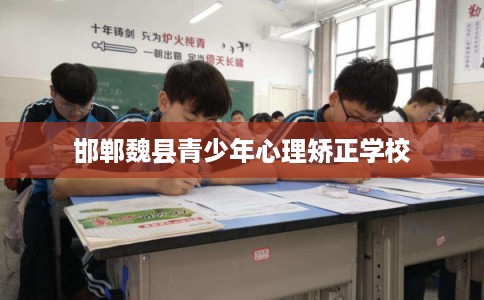 邯郸魏县青少年心理矫正学校 邯郸魏县青少年心理矫正学校