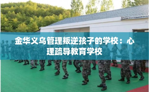 金华义乌管理叛逆孩子的学校:心理疏导教育学校 金华义乌管理叛逆孩子的学校:心理疏导教育学校