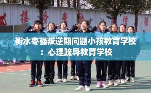 衡水枣强叛逆期问题小孩教育学校：心理疏导教育学校