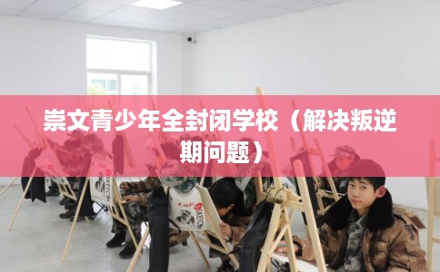 崇文青少年全封闭学校（解决叛逆期问题）