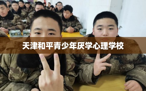 天津和平青少年厌学心理学校 天津和平青少年厌学心理学校