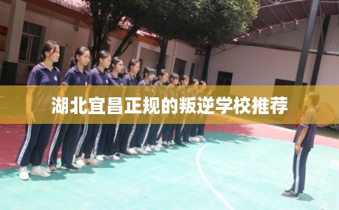 湖北宜昌正规的叛逆学校推荐