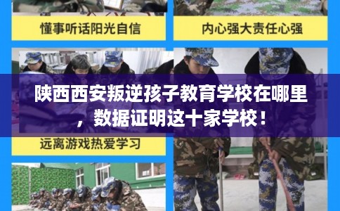 陕西西安叛逆孩子教育学校在哪里，数据证明这十家学校！