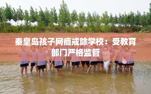 秦皇岛孩子网瘾戒除学校:受教育部门严格监管 秦皇岛孩子网瘾戒除学校:受教育部门严格监管