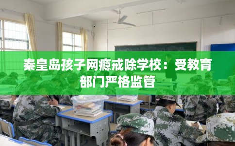 秦皇岛孩子网瘾戒除学校:受教育部门严格监管 秦皇岛孩子网瘾戒除学校:受教育部门严格监管