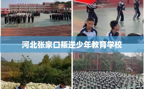 河北张家口叛逆少年教育学校