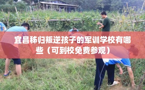 宜昌秭归叛逆孩子的军训学校有哪些（可到校免费参观）