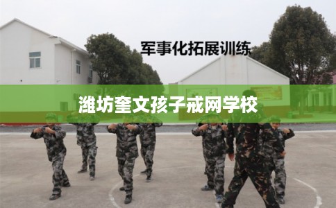 潍坊奎文孩子戒网学校