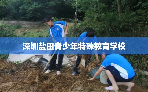 深圳盐田青少年特殊教育学校