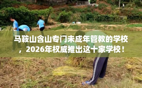 马鞍山含山专门未成年管教的学校，2026年权威推出这十家学校！