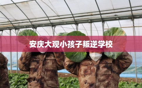 安庆大观小孩子叛逆学校