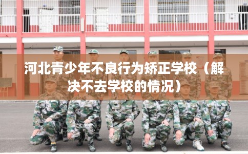 河北青少年不良行为矫正学校（解决不去学校的情况）