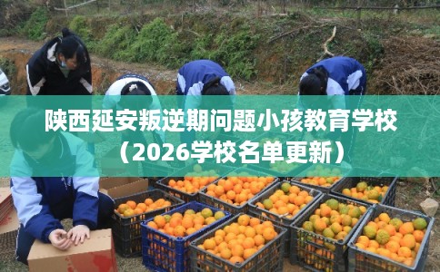 陕西延安叛逆期问题小孩教育学校（2026学校名单更新）