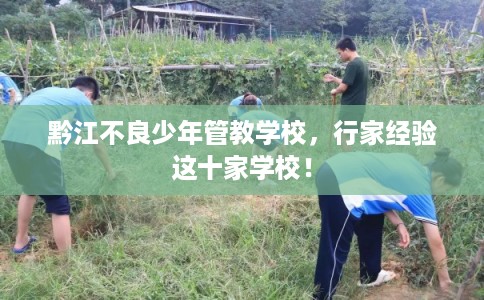 黔江不良少年管教学校，行家经验这十家学校！