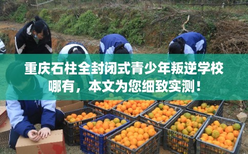 重庆石柱全封闭式青少年叛逆学校哪有，本文为您细致实测！