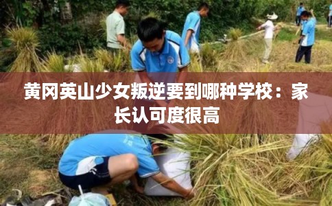 黄冈英山少女叛逆要到哪种学校：家长认可度很高