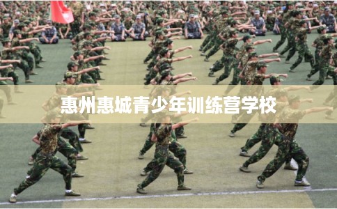惠州惠城青少年训练营学校