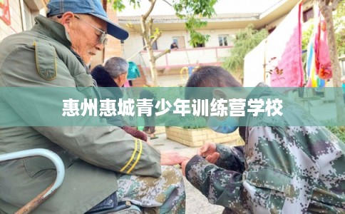 惠州惠城青少年训练营学校