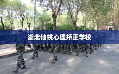 湖北仙桃心理矫正学校