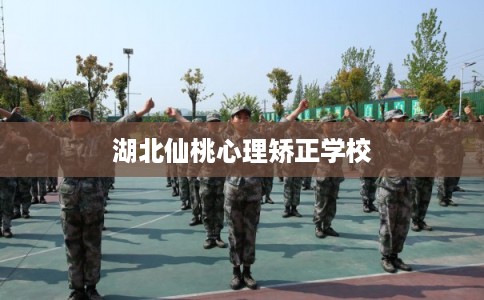 湖北仙桃心理矫正学校