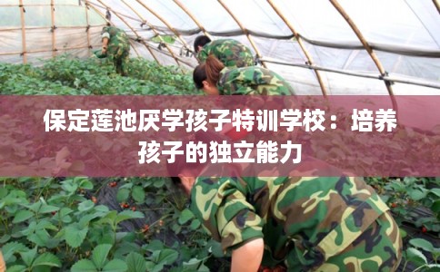 保定莲池厌学孩子特训学校:培养孩子的独立能力 保定莲池厌学孩子特训学校:培养孩子的独立能力