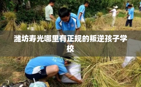 潍坊寿光哪里有正规的叛逆孩子学校