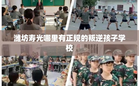 潍坊寿光哪里有正规的叛逆孩子学校