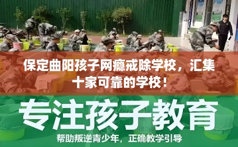 保定曲阳孩子网瘾戒除学校，汇集十家可靠的学校！