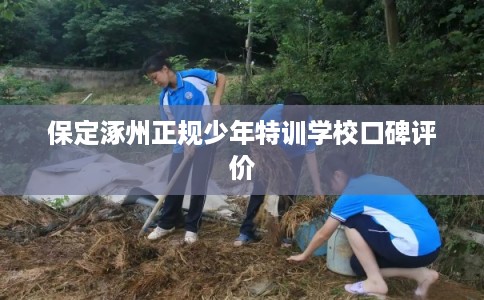 保定涿州正规少年特训学校口碑评价