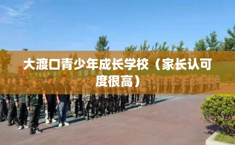 大渡口青少年成长学校（家长认可度很高）