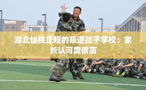 湖北仙桃正规的叛逆孩子学校：家长认可度很高