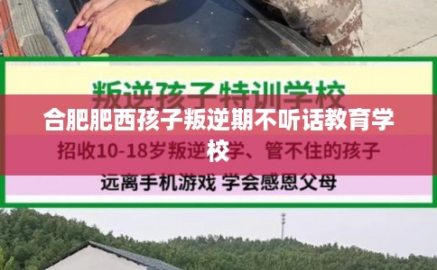 合肥肥西孩子叛逆期不听话教育学校 合肥肥西孩子叛逆期不听话教育学校
