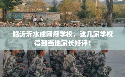 临沂沂水戒网瘾学校，这几家学校得到当地家长好评！